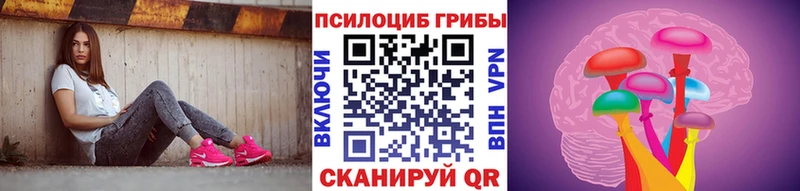 Псилоцибиновые грибы ЛСД  купить наркотик  OMG tor  Новочеркасск 