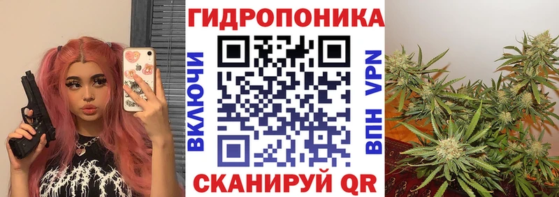 Марихуана сатива  Новочеркасск 